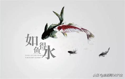 如魚得水 意思|如鱼得水的解釋